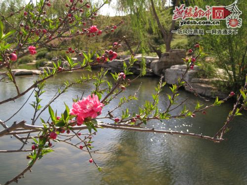 ʯ���f��ֲ��@ӭ�p���߷� һ���f�ˣ��D��