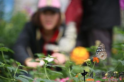 �߲ʵ��@�p����