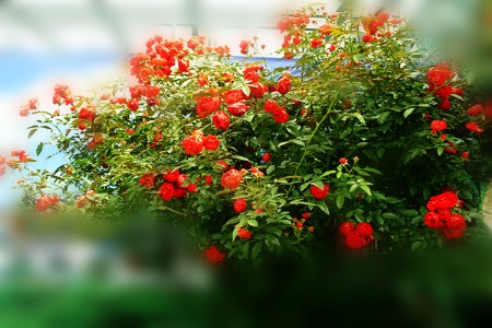 �����¼�����״����Ї��e�k ��50�f���ó��ݽ�