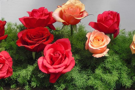 �����¼�����״����Ї��e�k ��50�f���ó��ݽ�