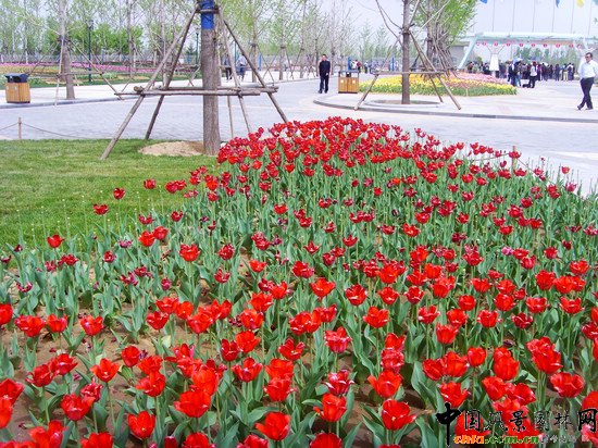 ������(gu��)�H�r����300�f��������`��