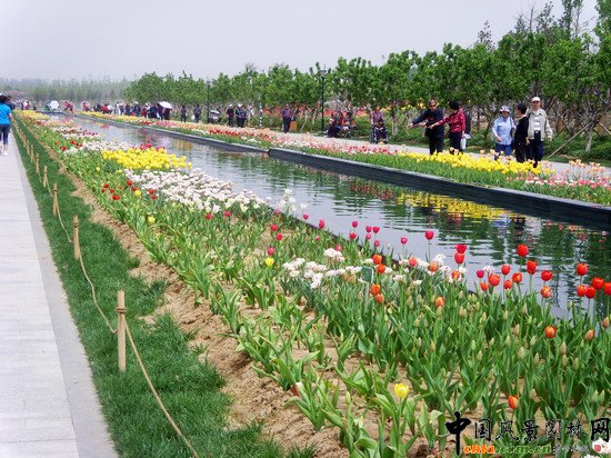 ������(gu��)�H�r����300�f��������`��