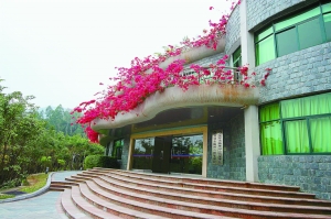 ڣ픾GM ĿǰGʃHռ1.05% 