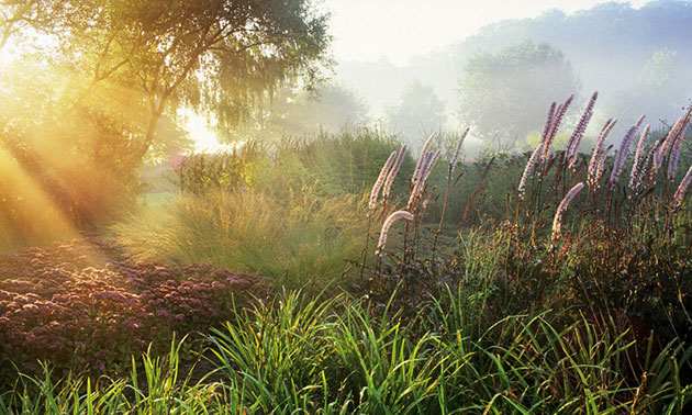 Garden Photographer: 2010 International Garden Photographer of the Year