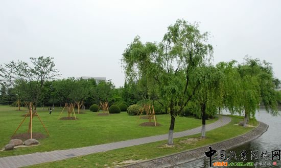     ϺW(xu)Ǉ(gu)ҡ211̡c(din)O(sh)У֮һУ@^(yu)Ϻл@λ 