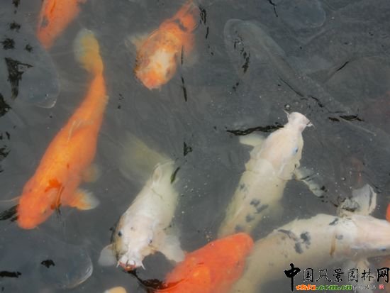     ϺW(xu)Ǉ(gu)ҡ211̡c(din)O(sh)У֮һУ@^(yu)Ϻл@λ 