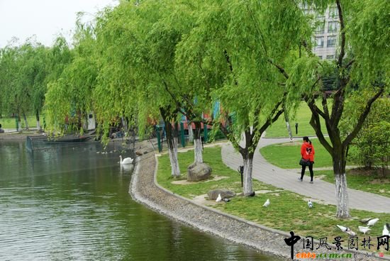     ϺW(xu)Ǉ(gu)ҡ211̡c(din)O(sh)У֮һУ@^(yu)Ϻл@λ 