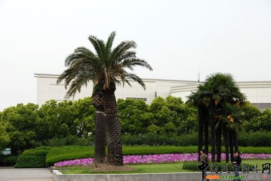     ϺWǇҡ211̡cOУ֮һУ@^Ϻл@λ 