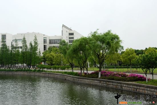     ϺWǇҡ211̡cOУ֮һУ@^Ϻл@λ 