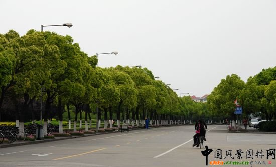     ϺWǇҡ211̡cOУ֮һУ@^Ϻл@λ 