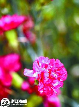 �������^(q��)�jᄻ��ݸ��QӋ(j��)�� ���ӡ�������