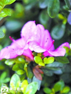 �������^(q��)�jᄻ��ݸ��QӋ(j��)�� ���ӡ�������