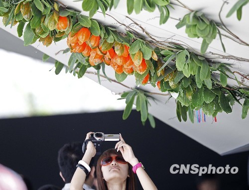 �����@���ݾGɫ���g�� �������ܺ�����������ˮ��