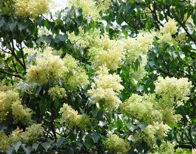 ���R�������������Ļ��N��