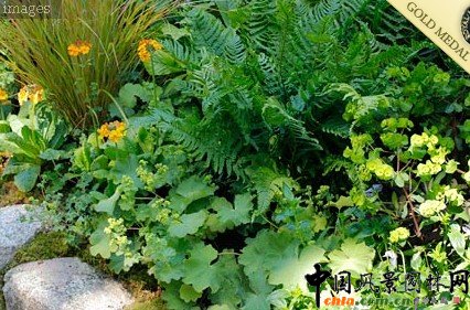 ͥԺ@o^@The Two Moors Festival