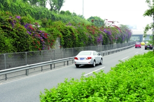 �山�������ؑc���Gɫ�T����(�M�D)