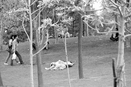 �������ݵĲ�ƺ�����g�����c�y�������f����ɶֻ�ܿ����ܲȣ��������f���Nֲ�Ĳ�ƺ���Ͳ�̤��������̫�󣬲����_��