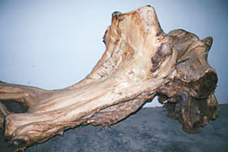 �°�ľ��Ŀ��Ȼ���ľ������һ��(ch��ng)�˞�ĳ���