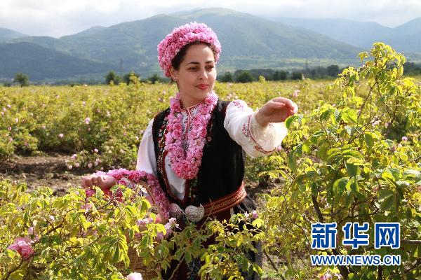 ٝտ˻r(nng)gcõ幝(ji)