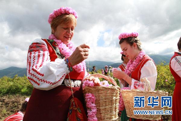 ٝտ˻r(nng)gcõ幝(ji)