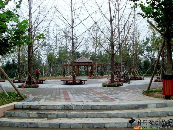 2009걱@փ(yu)O(sh)Ӌ(j)(jing)--I@