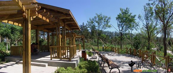 2009걱@փ(yu)O(sh)Ӌ(j)(jing)--I@