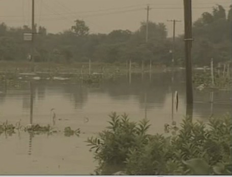 ���r(n��ng)������������