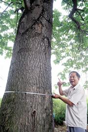 �|�����pɽ���д����������Ϙ� ���Һ������o