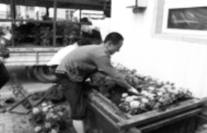 �L����Ҋ��ֲ�G��Ҋ�p�廨 �����辰�b�c����