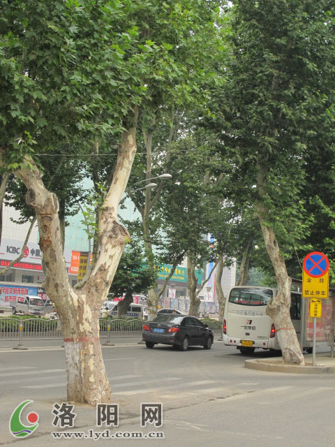 �Pע�����е��䡰���������} ��ˮ��ʯ���g���L