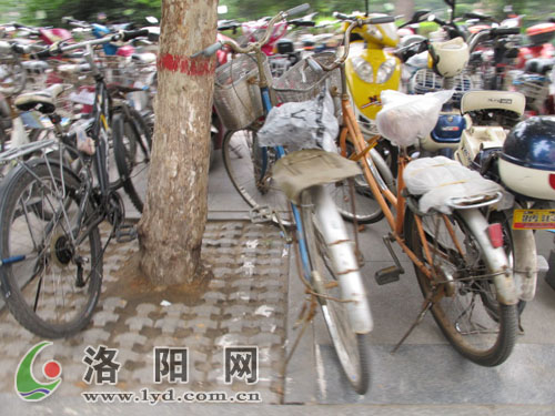 �Pע�����е��䡰���������} ��ˮ��ʯ���g���L