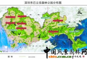 ڔMͶY12|Ԫ ȫнO(sh)11ɭֹ@ 