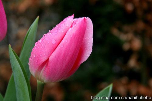 ���籭֮��ĺ��m �I���������������L��