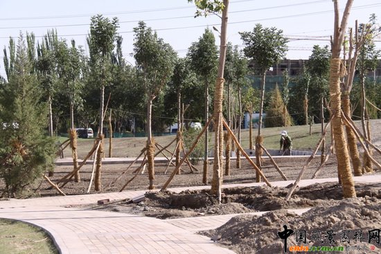 章俊華：新疆庫(kù)爾勒市新華園項(xiàng)目