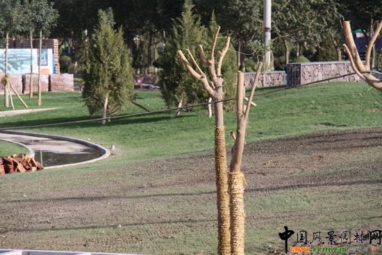 章俊華：新疆庫(kù)爾勒市新華園項(xiàng)目