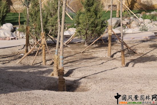 章俊華：新疆庫(kù)爾勒市新華園項(xiàng)目