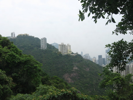 �c�����´��ڞg�[�DƬ