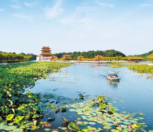 �c������D