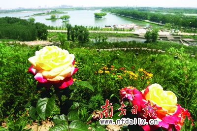 ��ɽ:�A��ˮ�ǾGɫ���ǞI���³�