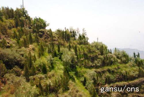 mݣɽGe33.3f þGɫ׌к