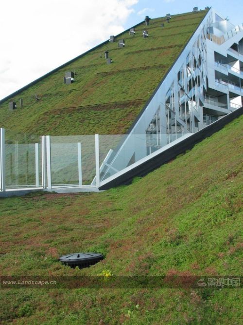 BIG8̖סլs@˹ļ{SѾGɫ픪