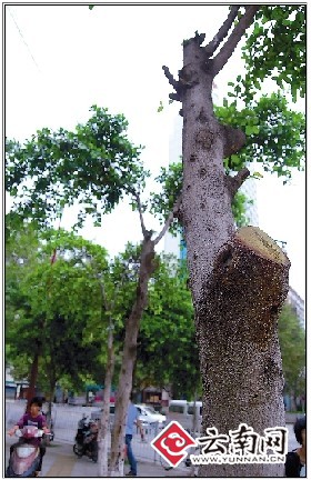 ϣȱʿסС~Ř @־֑Ҽt3ǧ惴