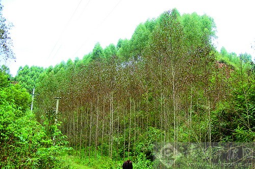 ό^һƬĪ"ȾS"ҷQЂȾ