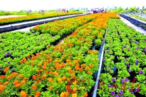 ̽؁\(yn)rNֲ һ400໨r(nng)ȫź