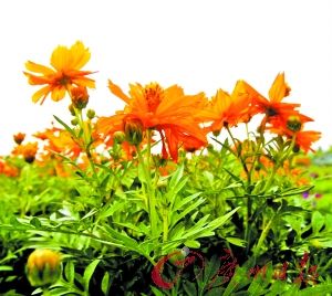 ̽؁\(yn)rNֲ һ400໨r(nng)ȫź