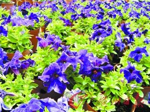 ̽؁\(yn)rNֲ һ400໨r(nng)ȫź