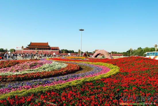 찲TV[Ź̽Y(ji) }_ʢ