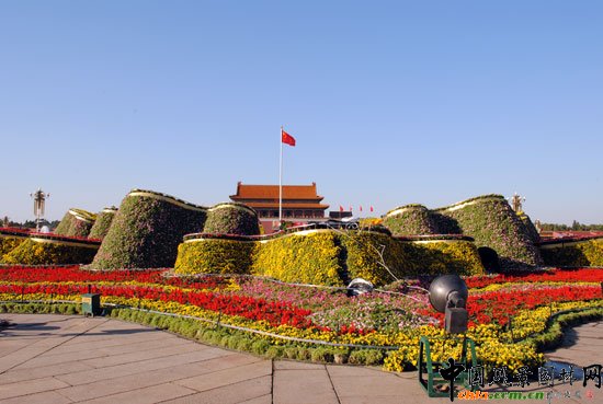 찲TV[Ź̽Y(ji) }_ʢ