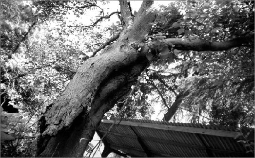 h܊I(jin)(qing)o10꣨D