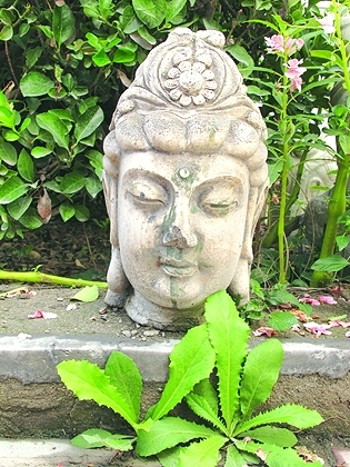 ꖵa(chn)ֵ_(d)30|MD 